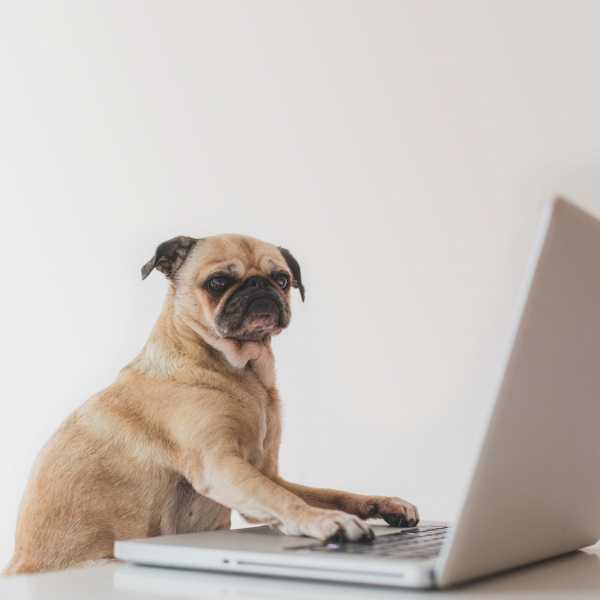 Как достичь успеха в бизнесе, используя PR